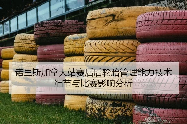 诺里斯加拿大站赛后后轮胎管理能力技术细节与比赛影响分析